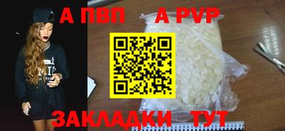 стафф Вязьма