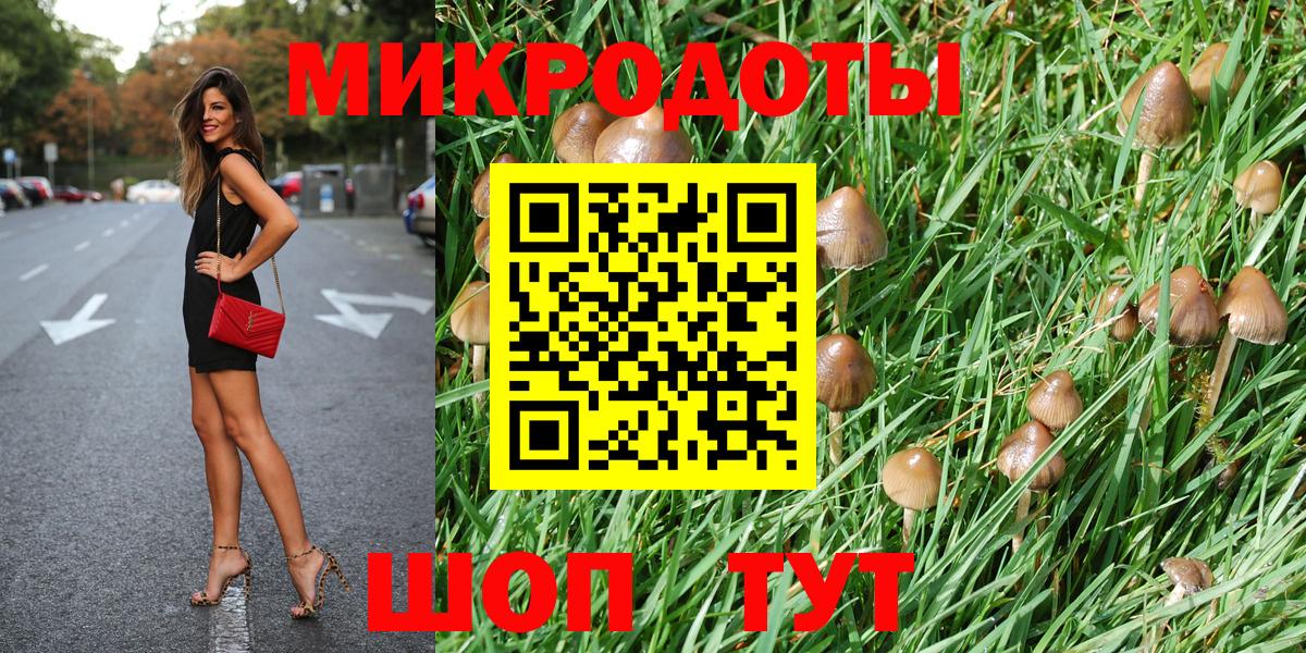 закладки  Псилоцибиновые грибы MAGIC MUSHROOMS  Вход с VPN  Осинники 