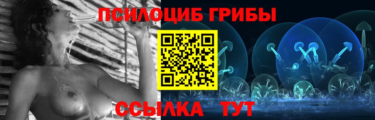 Галлюциногенные грибы Psilocybe Осинники